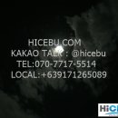 씨티투어여행사 이미지