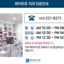 화이트듀 이미지