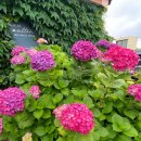 제주안뜰 이미지