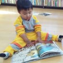 영랑작은도서관 이미지