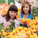 돌빌레 연합뉴스
