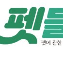 샵초도 이미지