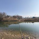 하천 | 여주시 금당천 하천 낚시 현실 후기/낚시하기 좋은 곳 잉어 대물 잡았다... 손맛 제대로 보고 옴