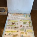 선흘리에 | 선흘리 만나다공원｜정성 가득한 음식을 내어주는 제주 숨은 맛집