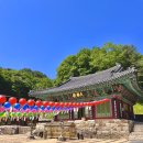 한국불교치악산관음사 | 원주 구룡사 | 부처님오신날 100배 즐기기 ! 관욕 소원지 완전 정복