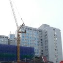 트인자리애 3차 이미지