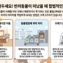 광재축산 네이버블로그