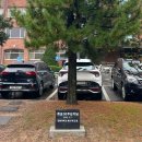 한동대학교 국제법률대학원 | [포항 한동대학교 기념식수비] 개교 30주년 기념비 제작판매 설치