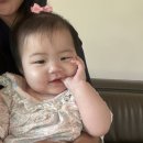 영주안동 가족여행 독채 숙소추천 : 별빛정원펜션 &amp; 족욕카페