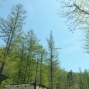 괴강 국민여가캠핑장 | 화천 만산동 국민여가캠핑장 후기, 화천 장날과 함께한 봄 캠핑 [🏕️화천/캠핑]