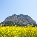 김해투자공인중개사사무소 이미지