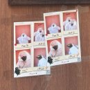 서울숲 생태숲 화장실 | 서울 단풍구경 명소 데이트 코스 서울숲 실시간