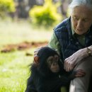 Journal de 12h30 du jeudi 2 octobre 2025 이미지