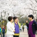 아름드리나무어린이병원 이미지