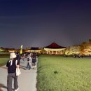 경주야경시티투어 패스 경북여행 아이와가볼만한곳