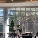 cafe log (카페로그) | [양양] 북카페 카페로그 / 나만알고 싶은 힐링카페추천 / 조용한 양양카페 카페로그 / cafe log 내돈내산