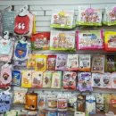 빠찌애견 이미지