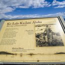 바다파파 이미지