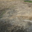 영남루1길 이미지