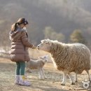 종일목장 이미지
