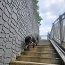 애니카랜드 양주점 이미지