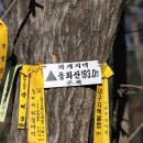 용화산둘레길 이미지