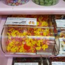 캔디 블록샵 이미지