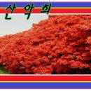 군자농장 이미지