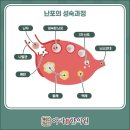 아라한의원 이미지