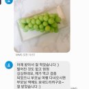 &#34;현가네 포도농원&#34; 상주 모동 샤인머스켓 고객님들 후기(2탄)❤