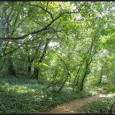 대궐고개 약수터 이미지