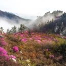 주작산 휴양림 네이버블로그