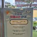 인천 연수구 애견카페 &#39;솔멍&#39; 후기｜숨은 피크닉 명소 추천｜강아지수영장 오픈｜주차정보