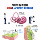 우리몸연구소