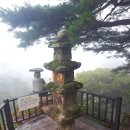 동혈사 삼층석탑 이미지