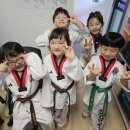 용인대단재태권도 네이버블로그