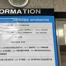 디온 | [고양/행신] 행신속눈썹펌 맛집 디온브로우 후기