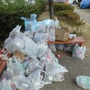 삼락초등학교 이미지