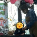 뿌리동물농장 | 펀퍼니아트 &#39;동물농장&#39; 후기