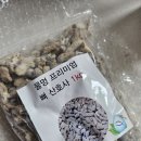 산호사 | 애플스네일 패각깨짐 물달팽이 키우기 뼈산호사 구매후기