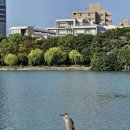 시영어린이공원(만수1동어린이공원) | 해외여행🌿[오호리 공원 여행 후기] 후쿠오카 도심 속 힐링 스팟! 🚶‍♂️🌊