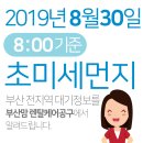 2019년 8월30일(금요일) 오전8:00 기준 부산전지역 초미세먼지 및 일일/주간 날씨정보 이미지