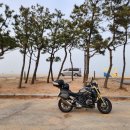 영덕건재사 이미지