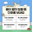 계절엔 동물의료센터 이미지