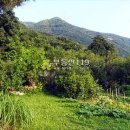 신기서길 이미지