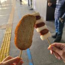 [속리산] 속리산국립공원 겨울 산행/ 첫 안내산악회 후기(화북탐방지원센터-문장대-세심정-법주사탐방...