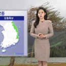 새벽무역 이미지