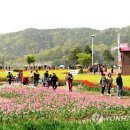 낙동강변16 이미지