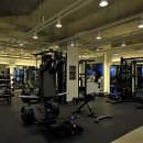 루다피티 이미지