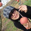 국화농장 이미지